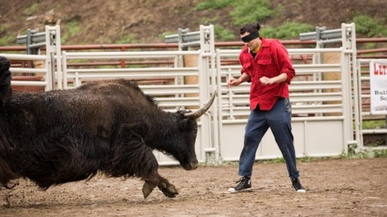 Johnny Knoxville about to get charged by a bull in the ring with a blindfold on in Jackass Number Two