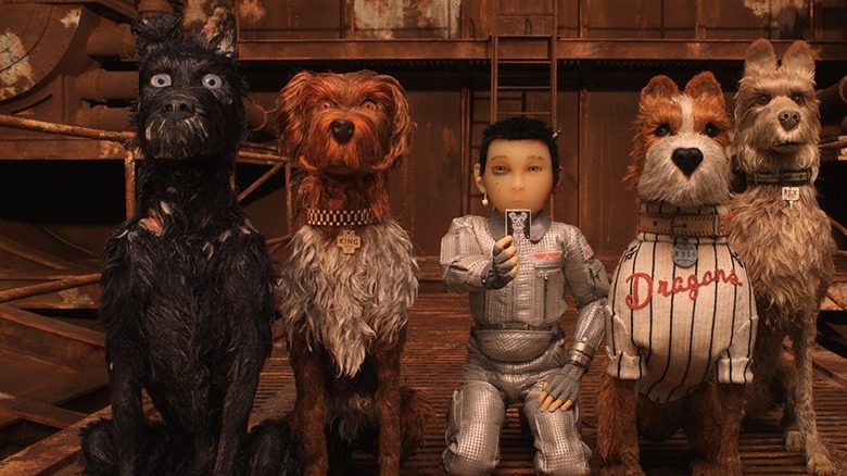 Dog puppets look for a lost puppy