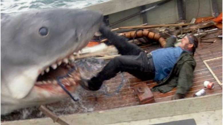 All The Trouble That Real Sharks Caused The Jaws Shoot