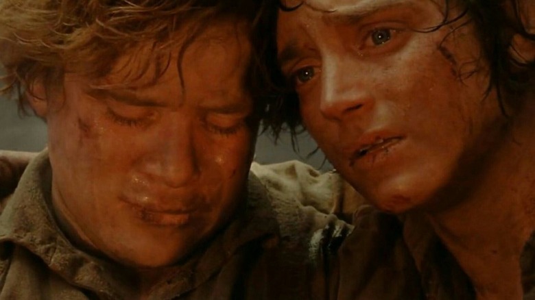 Lord of the Rings Sam and Frodo at Mount Doom