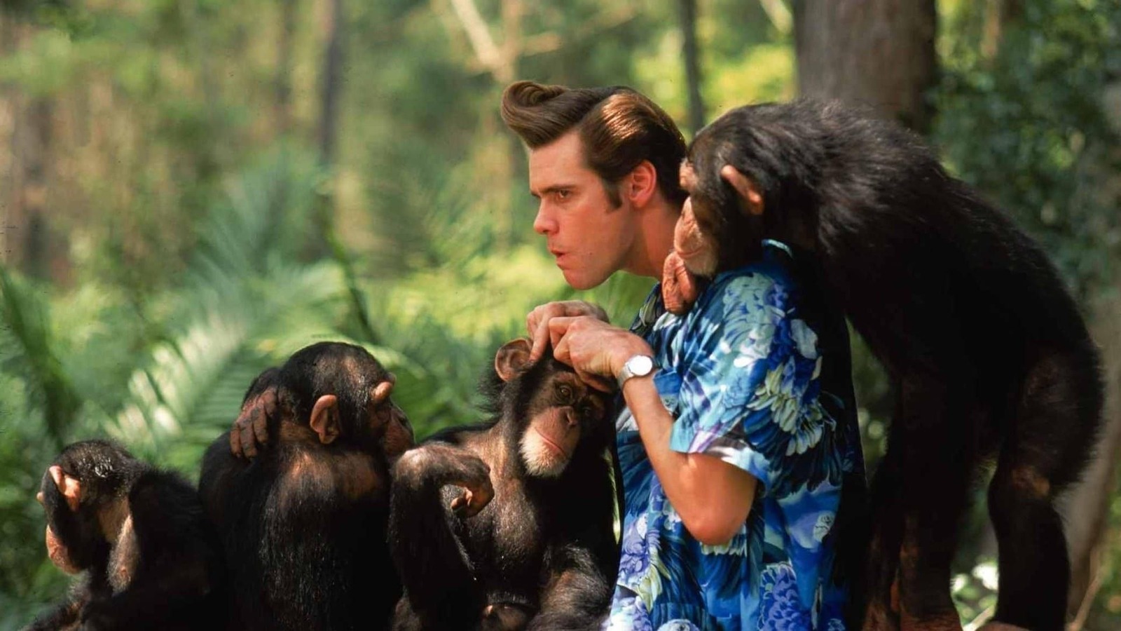Alrighty Then! Jim Carrey Would Make Another Ace Ventura Movie If