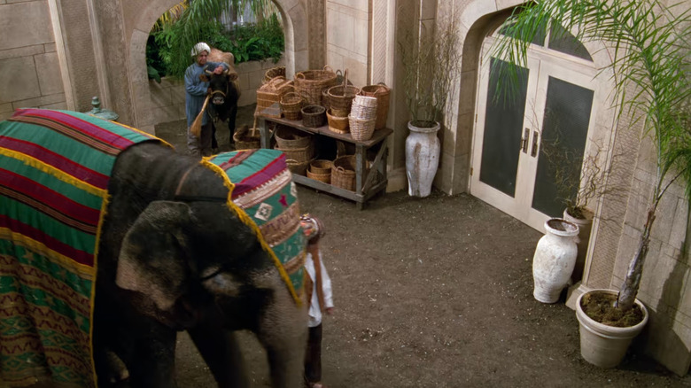 Começando quando um elefante elefante é seinfeld