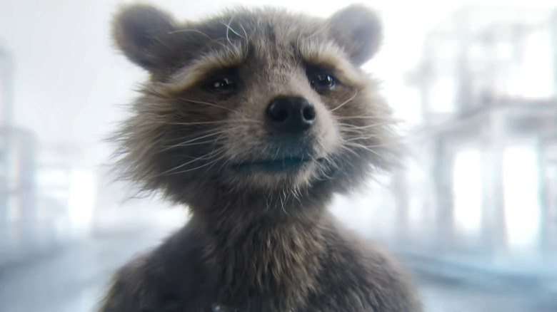 Rocket in Guardians of the Galaxy Vol. 3