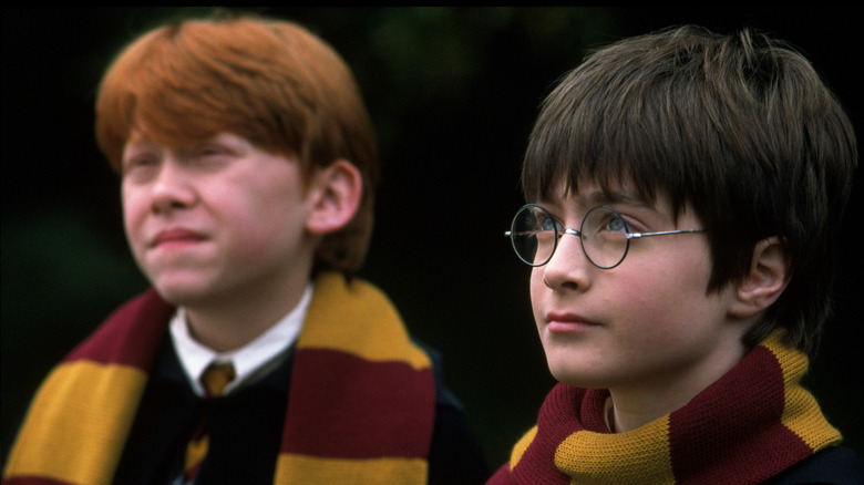 Ron and Harry looking confused at something in Harry Potter and the Half-Blood Prince