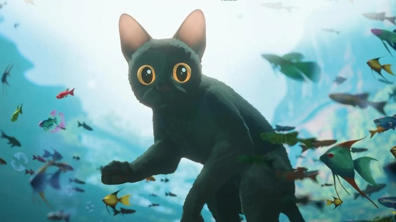A black cat floating underwater next to the fish in the flow