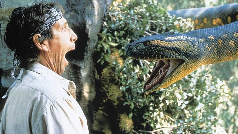Anaconda
