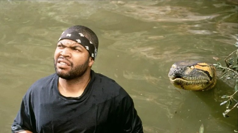 Anaconda