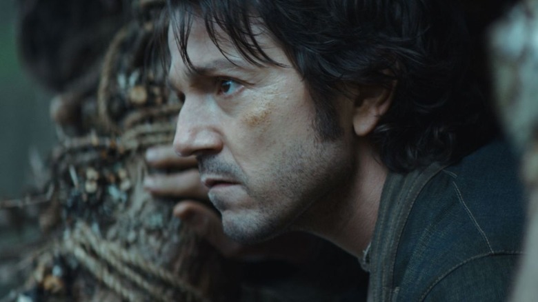 Cassian Andor