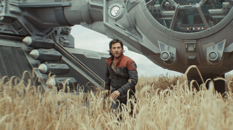 Diego Luna as Cassian Andor walking through a field of grain (with a TIE fighter behind him) in Andor season 2