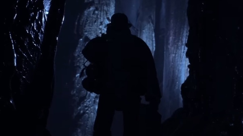The Assassin in shadow