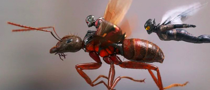 ant-man and the wasp images