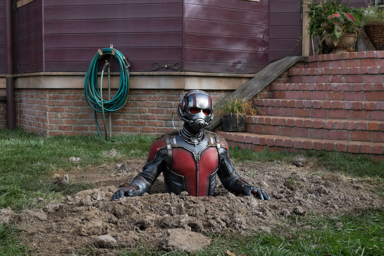 Ant-Man dirt