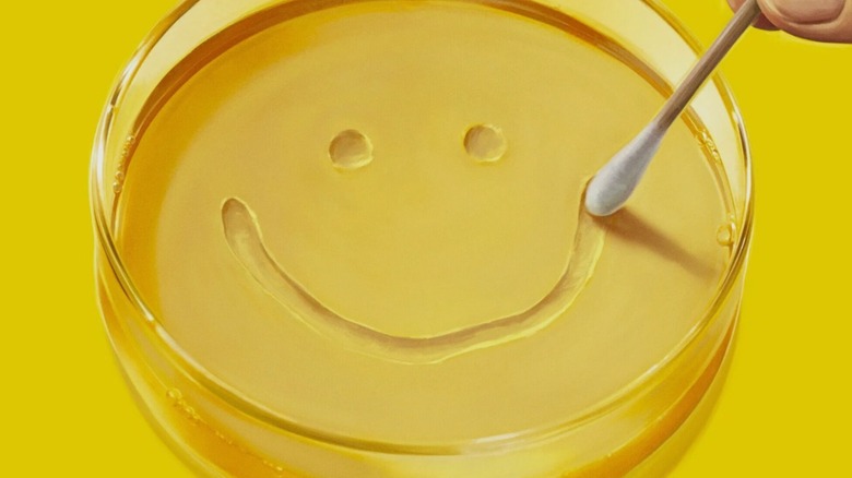 Pluribus poster showing unseen person making a smiley face in yellow petri dish with a q-tip