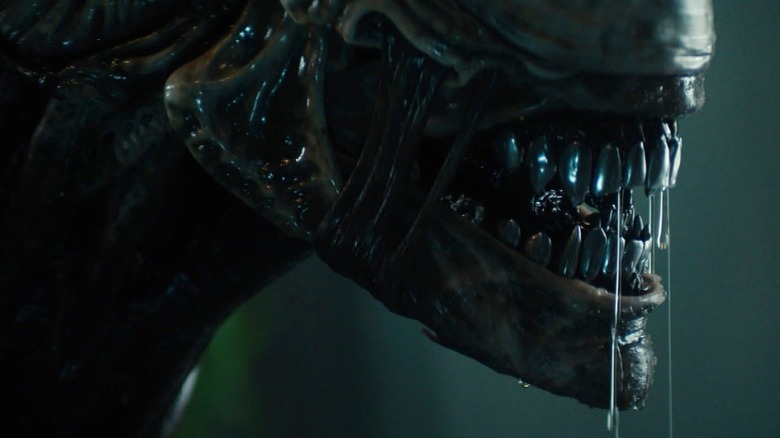 Close-up of a xenomorph baring its teeth and drooling in Alien: Earth