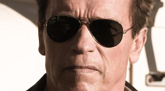 schwarzenegger-last-stand-header