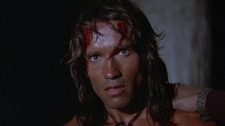 Arnold Schwarzenegger as Conan looking dismayed in Conan the Barbarian (1982)
