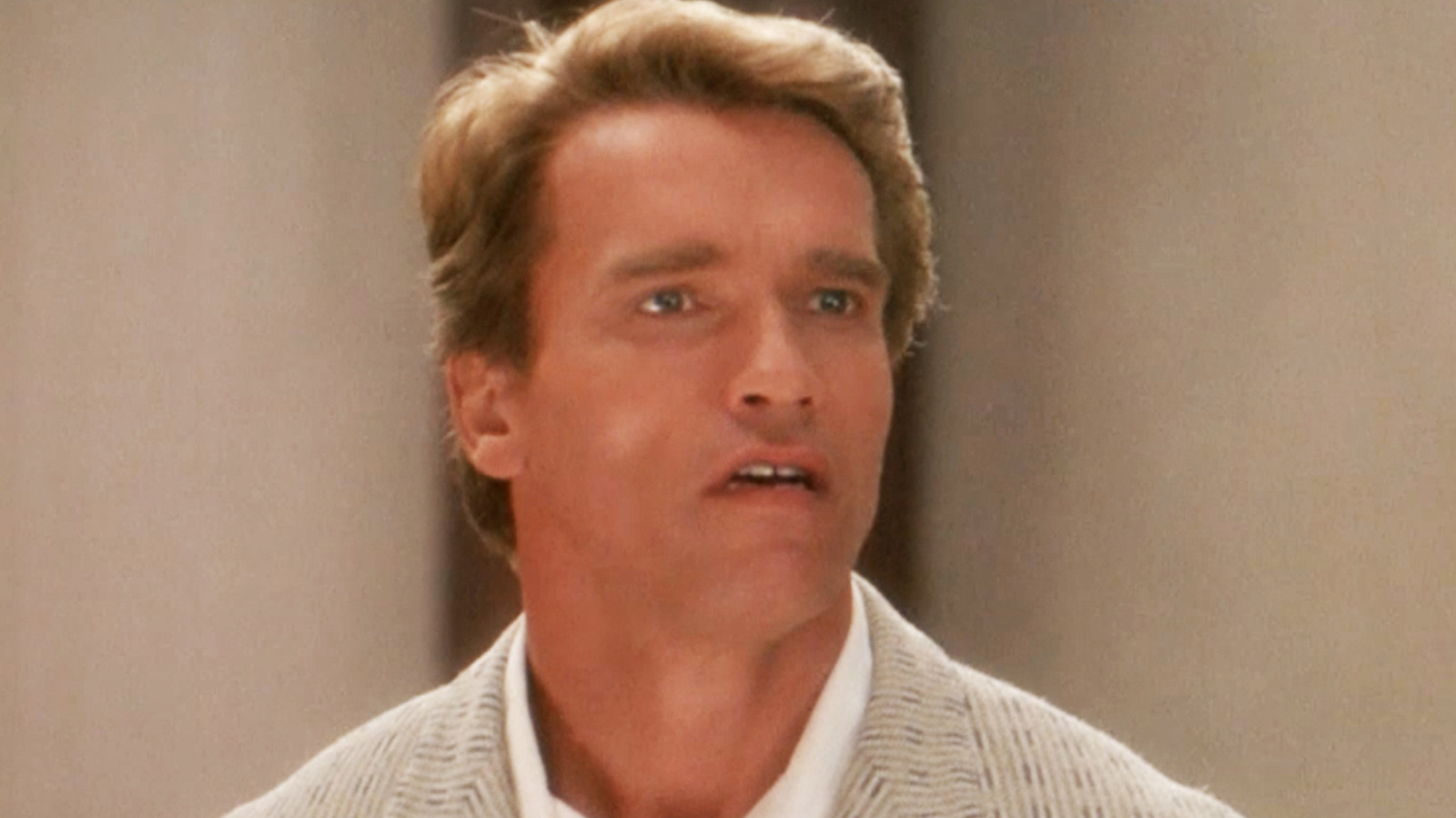 Arnold Schwarzenegger's Most Profitable Movie Role Is Truly Surprising