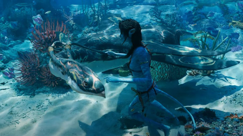 Avatar the way of water kiri underwater examining