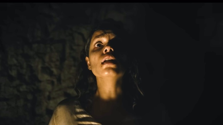 Barbarian movie Tess