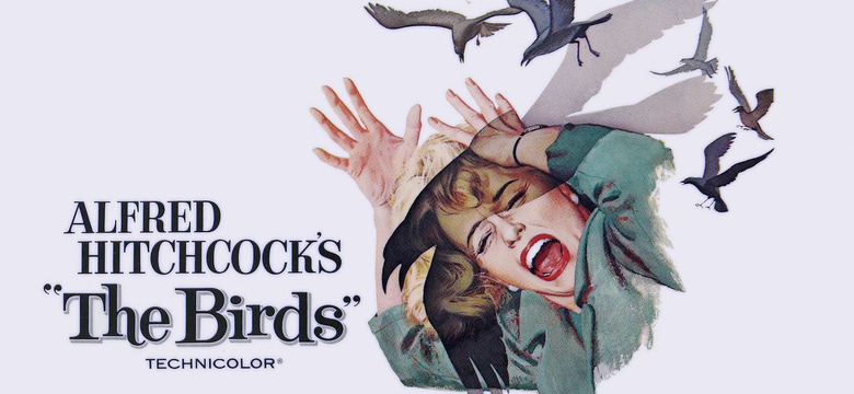 Thr Birds Remake