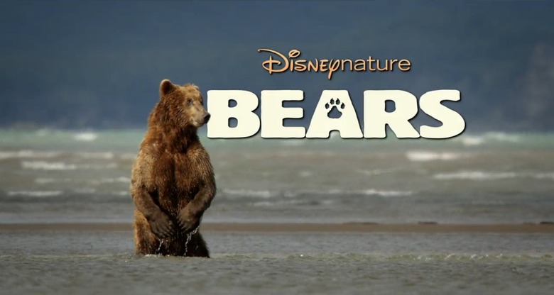 Disneynature's Bears