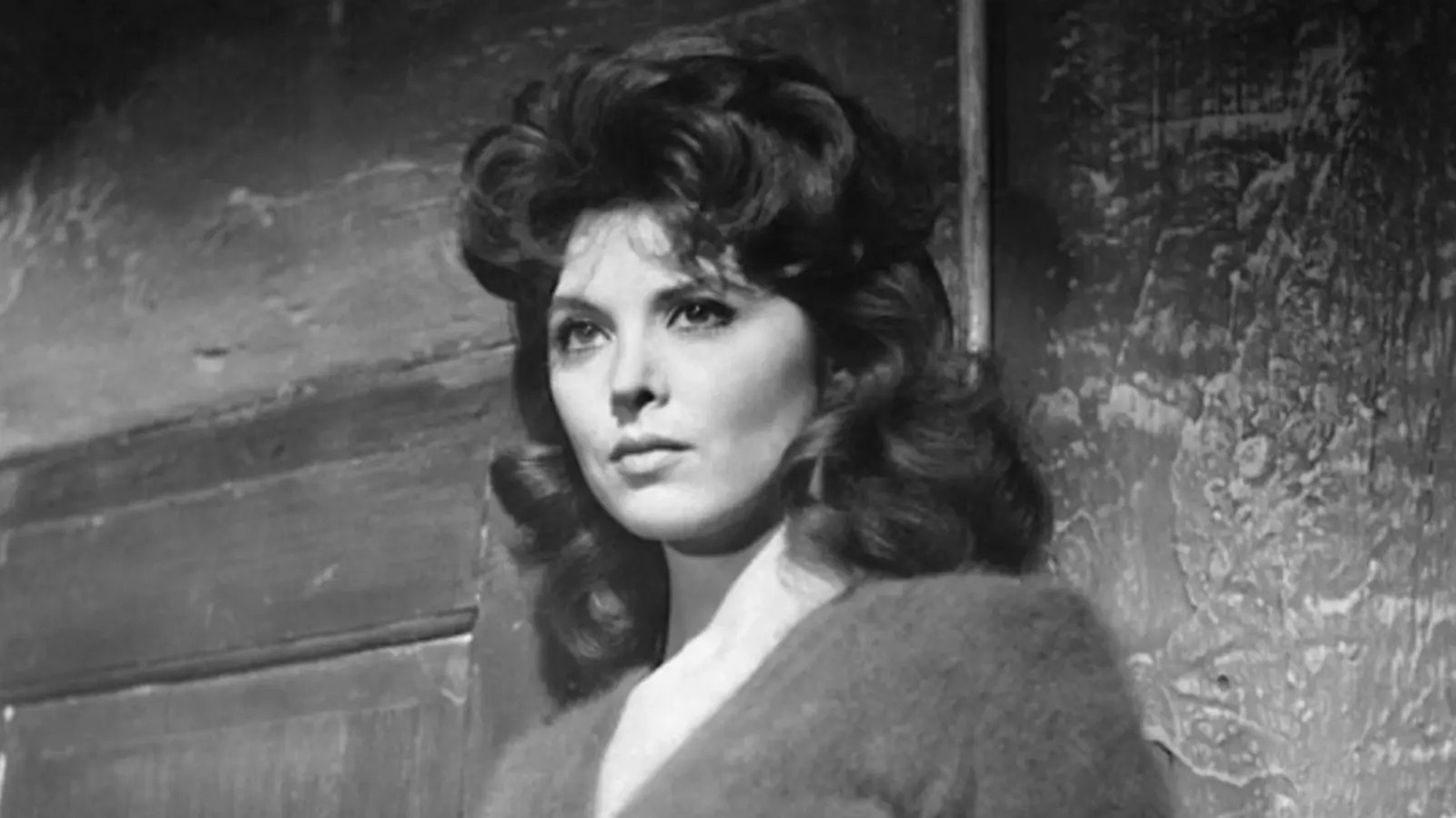 Before Gilligan's Island, Tina Louise Headlined A War Movie With A Future Silver Screen Legend image