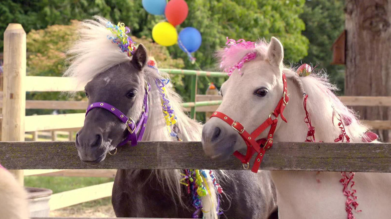 Lollipop and Strawberry the ponies looking over a fence in Super Buddies