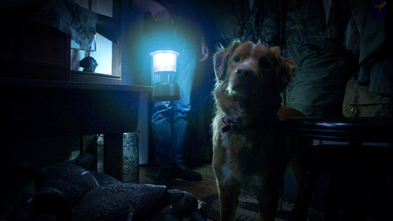 Indy tilts his adorable head in the dark as his owner stands next to him in Good Boy