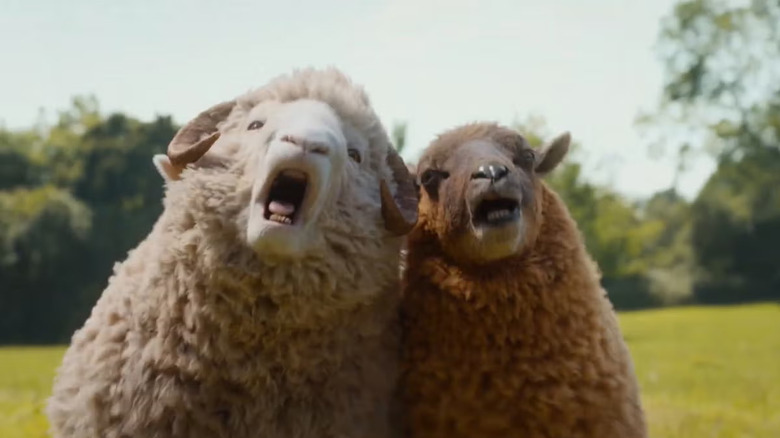 Mopple and Lily are far from sheepish about singing in The Sheep Detectives