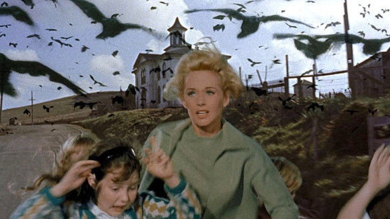 Tippi Hedren attacked in The Birds