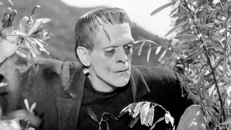 Boris Karloff's iconic Creature from Frankenstein peers through the bushes