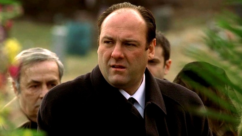 James Gandolfini in The Sopranos