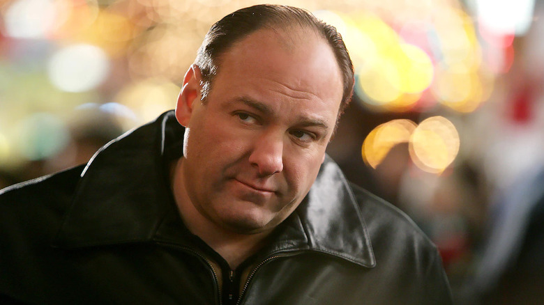 James Gandolfini as Tony Soprano in The Sopranos