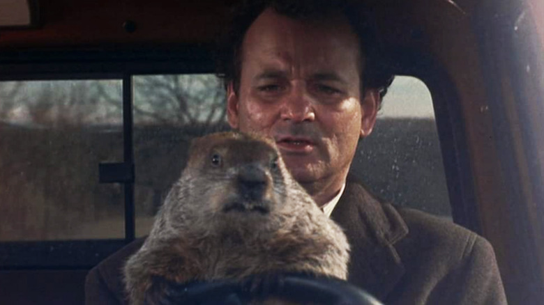 Bill Murray in Groundhog Day