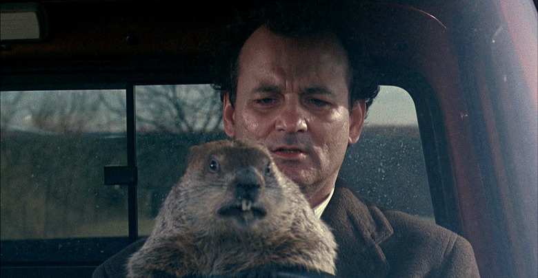 groundhog day musical