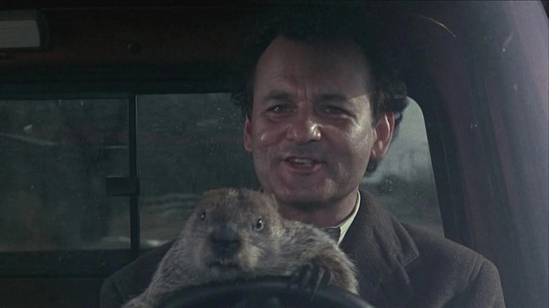 Bill Murray in Groundhog Day