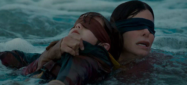 bird box challenge