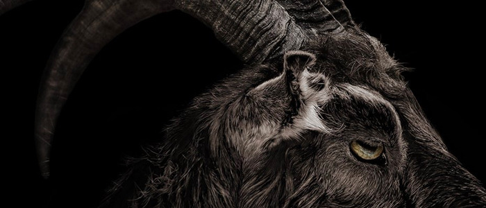 Black Phillip Funko Pop