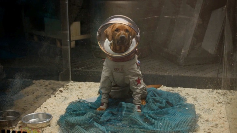 Cosmo the Spacedog in Guardians of the Galaxy