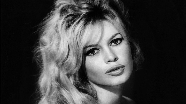 Brigitte Bardot posing for black and white photo