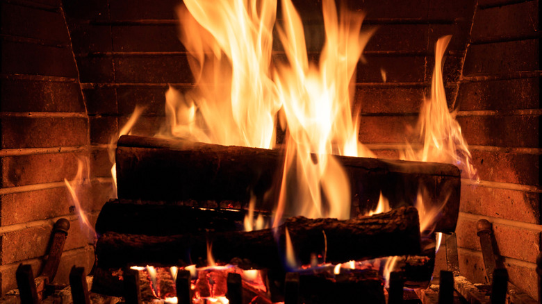 Image from Adult Swim Yule Log (2022)
