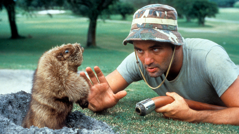 Bill Murray Caddyshack