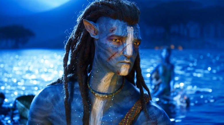 Jake Sully sitting on the water in the avatar: the waterway