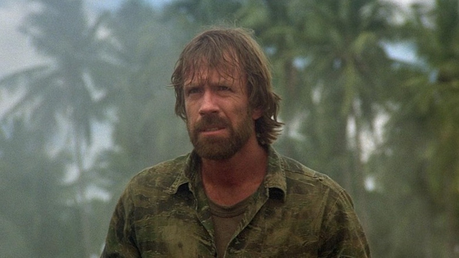 Volgens Rotten Tomatoes de beste film van Chuck Norris