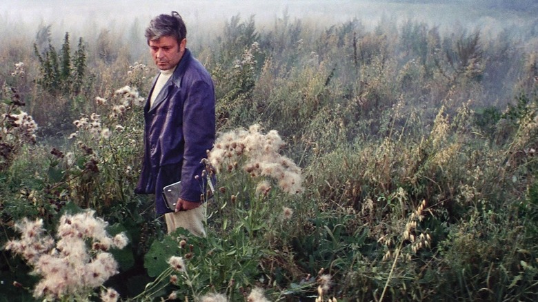 Kris Kelvin in a field in Solaris