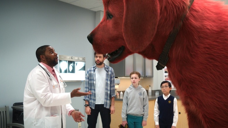 Humans staring at a big red dog