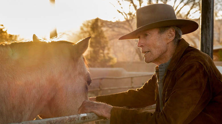 Cry Macho Clint and Horse