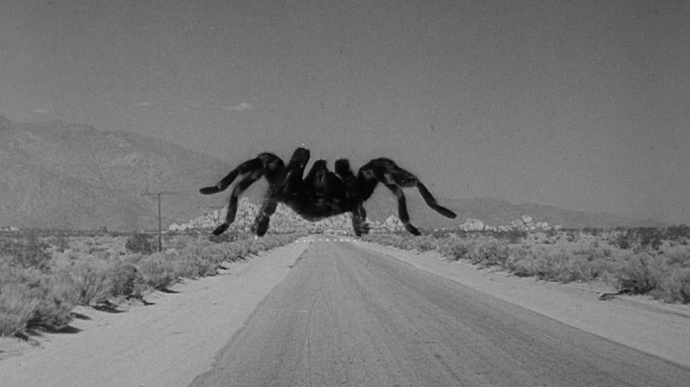 A giant tarantula on a highway in the movie Tarantula.