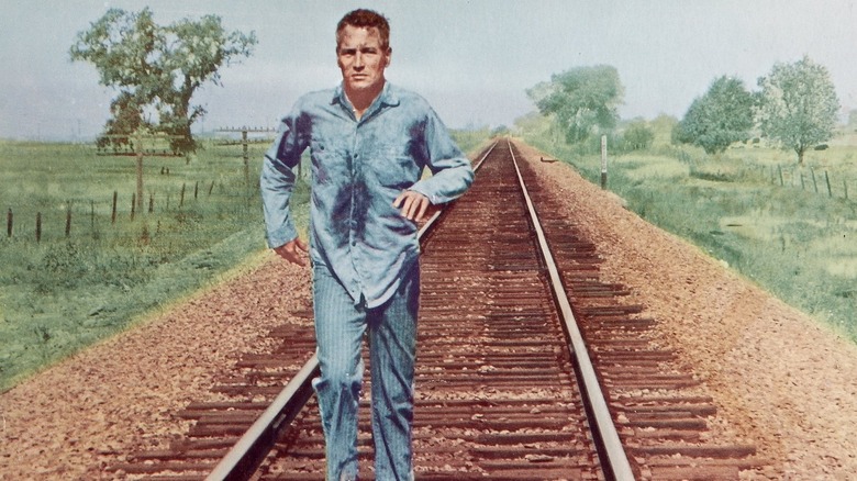 Cool Hand Luke Escape Scene