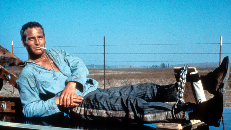 Cool Hand Luke